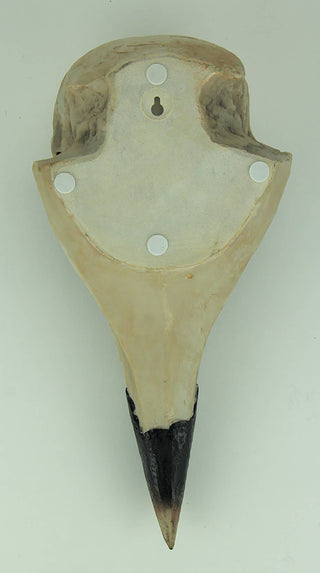 Raven Skull Wall Hanging