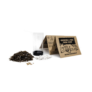 Giant Sequoia | Seed Grow Kit