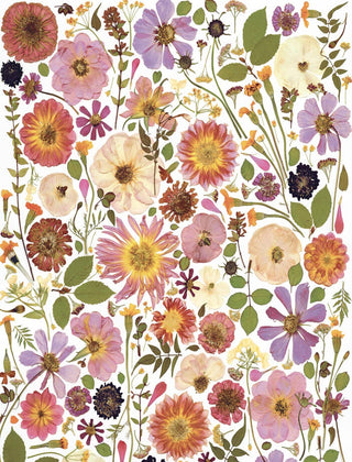 Beautiful Blooms Wrapping Paper Book: Trade Paperback