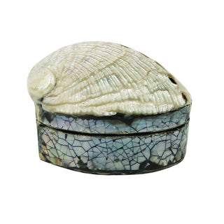 Clam Shell Trinket Box
