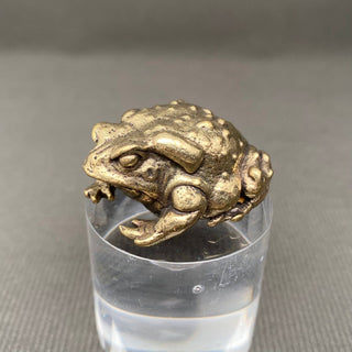 Brass Toad Desktop Figurine