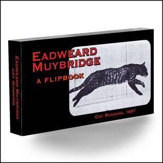 Muybridge Cat Flipbook