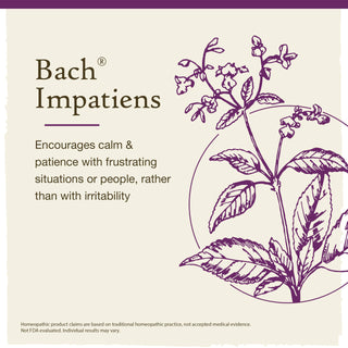 Impatiens - Have Patience - Bach Original Flower Remedies