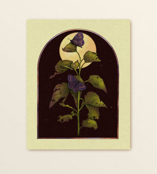 Purple Butterflies At Night Print (8x10)