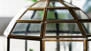 Bronze Birdcage Glass Terrarium