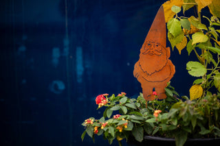 Garden Gnome Pick