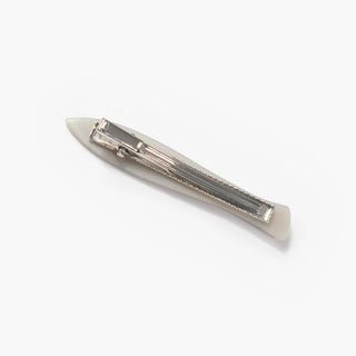Sardine Fish Hair Clip Set