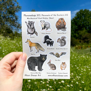 Mammalogy 101: Mammals of the Eastern US Vinyl Sticker Sheet