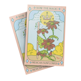 Mexican Sunflower - Tarot Garden Seeds