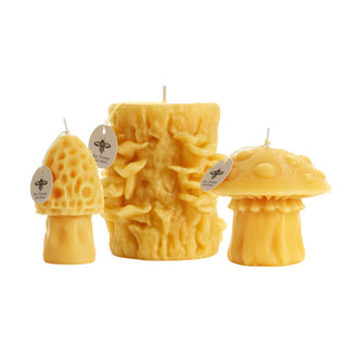 Mushroom Candles – 100% Pure Beeswax – 3 Styles: Morel Mushroom