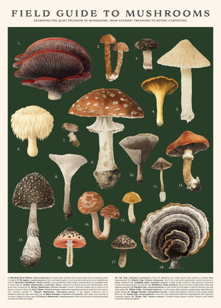 Mushrooms Puzzle – 500Pc Tube