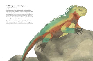 Colorful World of Reptiles