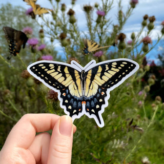 Eastern Tiger Swallowtail Butterfly Sticker