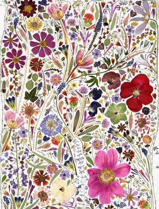 Beautiful Blooms Wrapping Paper Book: Trade Paperback