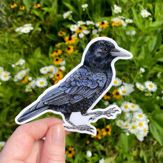 American Crow Weatherproof Vinyl Sticker