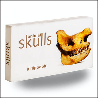 Animal Skulls Flipbook