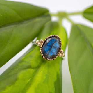 Sterling Silver Plated + Brass Labradorite Accent Ring