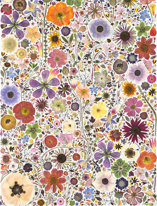 Beautiful Blooms Wrapping Paper Book: Trade Paperback