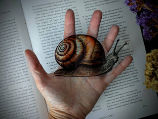 Transparent Snail Book Mark