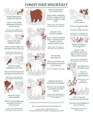 Forest Edge Black Bear Print (8x10)