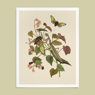 Mantis & Cicadas Giclee Print (8x10)