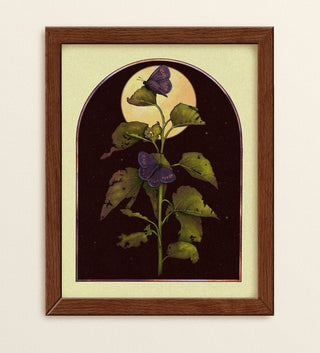 Purple Butterflies At Night Print (8x10)