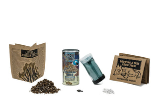 Joshua Tree | Seed Grow Kit