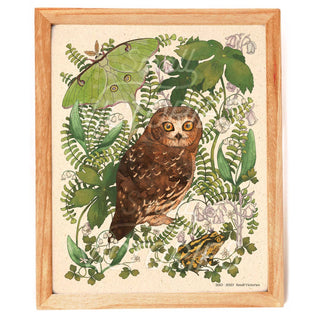 Moonlit Forest Northern Saw-whet Owl Print (8x10)