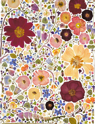Beautiful Blooms Wrapping Paper Book: Trade Paperback