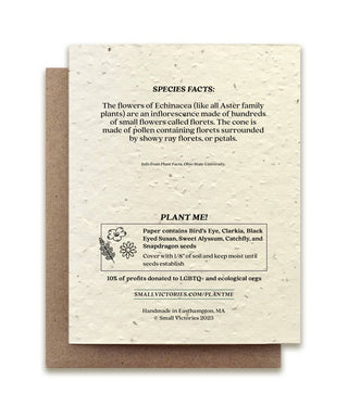 Echinacea Plantable Wildflower Seed Card