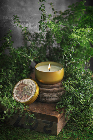 Saltwater + Citrus | 8oz Candle
