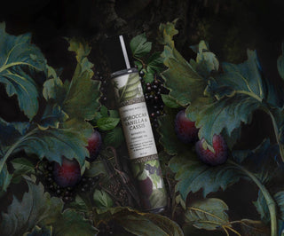Moroccan Vanilla + Cassis | Perfume Oil