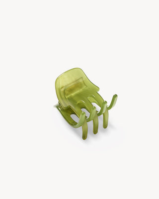 Mini Claw in Algae