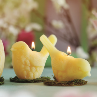 Song Bird Candles – 100% Pure Beeswax – Hand-Crafted: Upright