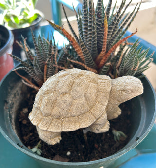 Turtle Plant Stake