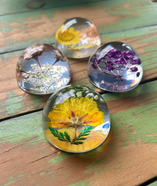Preserved Florals Resin Half-Sphere