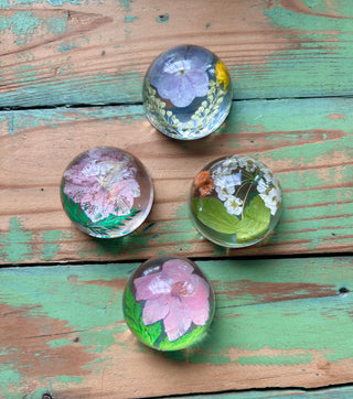 Preserved Florals Resin Half-Sphere