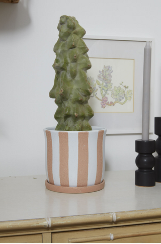 Striped Terracotta Pot