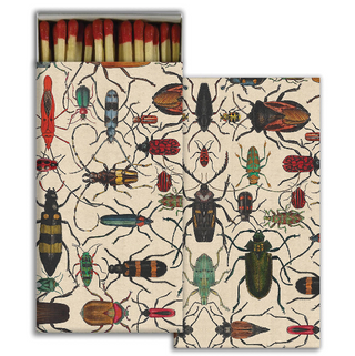 Matches In Picture Boxes