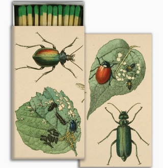 Matches In Picture Boxes