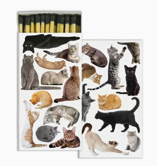 Matches In Picture Boxes