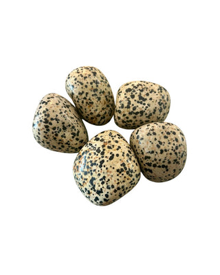 Dalmatian Jasper Tumbled Stone