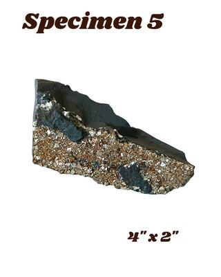 Shungite w/ Pyrite Specimen