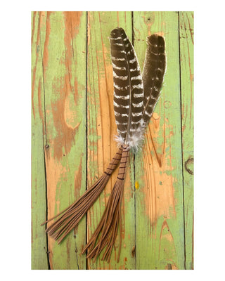 Assorted Feathers