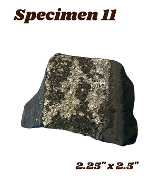 Shungite w/ Pyrite Specimen
