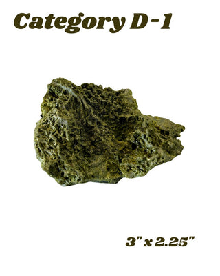 "Forest Fairy" Epidote w/ Quartz Specimen
