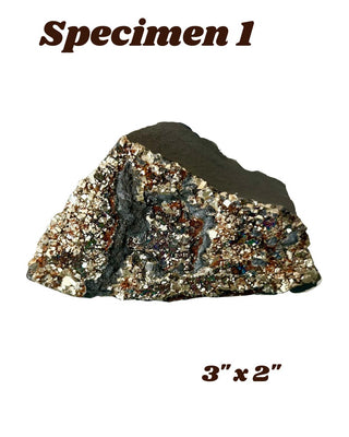 Shungite w/ Pyrite Specimen