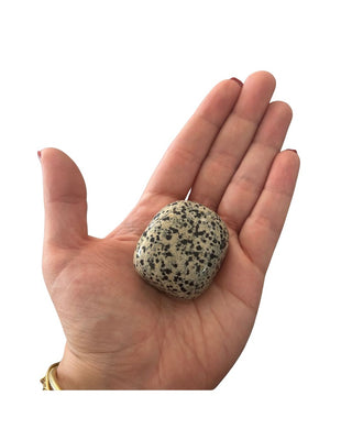 Dalmatian Jasper Tumbled Stone