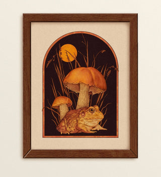 Bullfrog & Mushrooms Print (11x14)