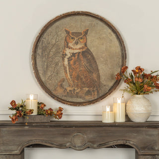 Round Vintage Owl Wall Art